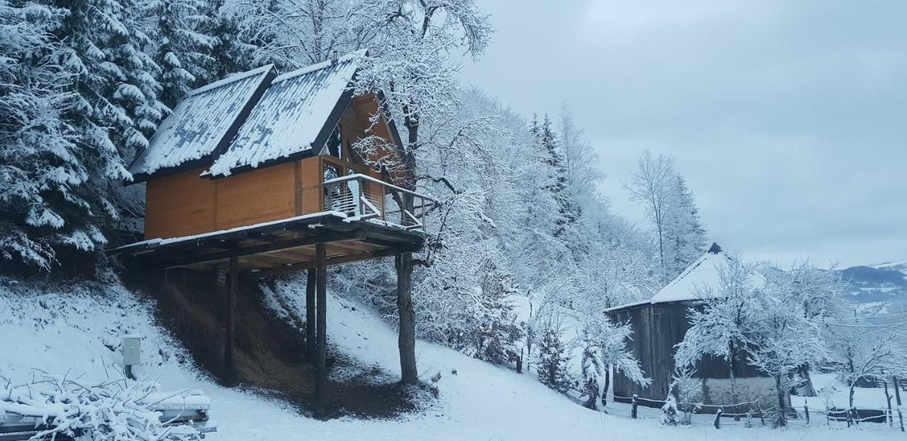 Tree House - Tara Place Mojkovac Exteriör bild