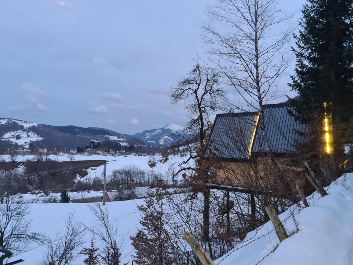 Tree House - Tara Place Mojkovac Exteriör bild