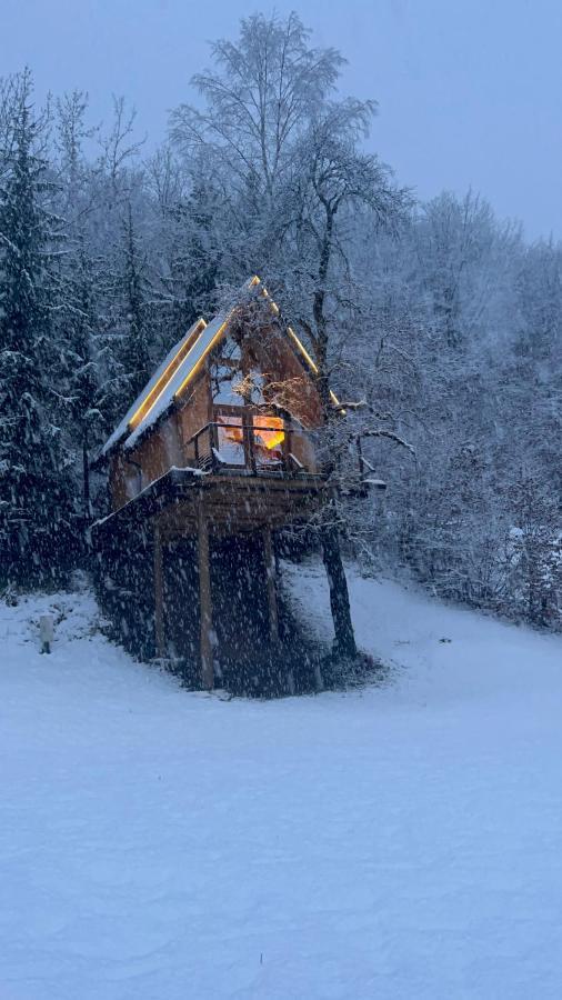 Tree House - Tara Place Mojkovac Exteriör bild